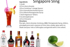 b_Singapore_Sling