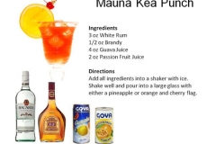 b_Mauna_Kea_Punch