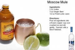 b_Moscow_Mule