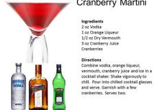 b_Cranberry_Martini