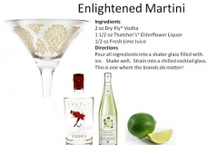 b_Enlightened_Martini