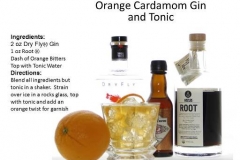 b_Orange_Cardamom_Gin_And_Tonic