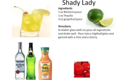 b_Shady_Lady