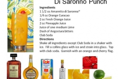 b_Di_Saronno_Punch