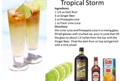 b_Tropical_Storm