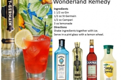 b_Wonderland_Remedy