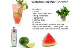 b_Watermelon_Mint_Spritzer