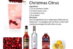 b_Christmas_Citrus