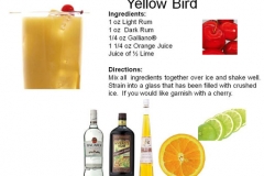 b_Yellow_Bird