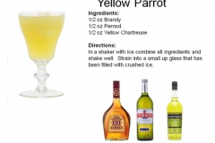 b_Yellow_Parrot